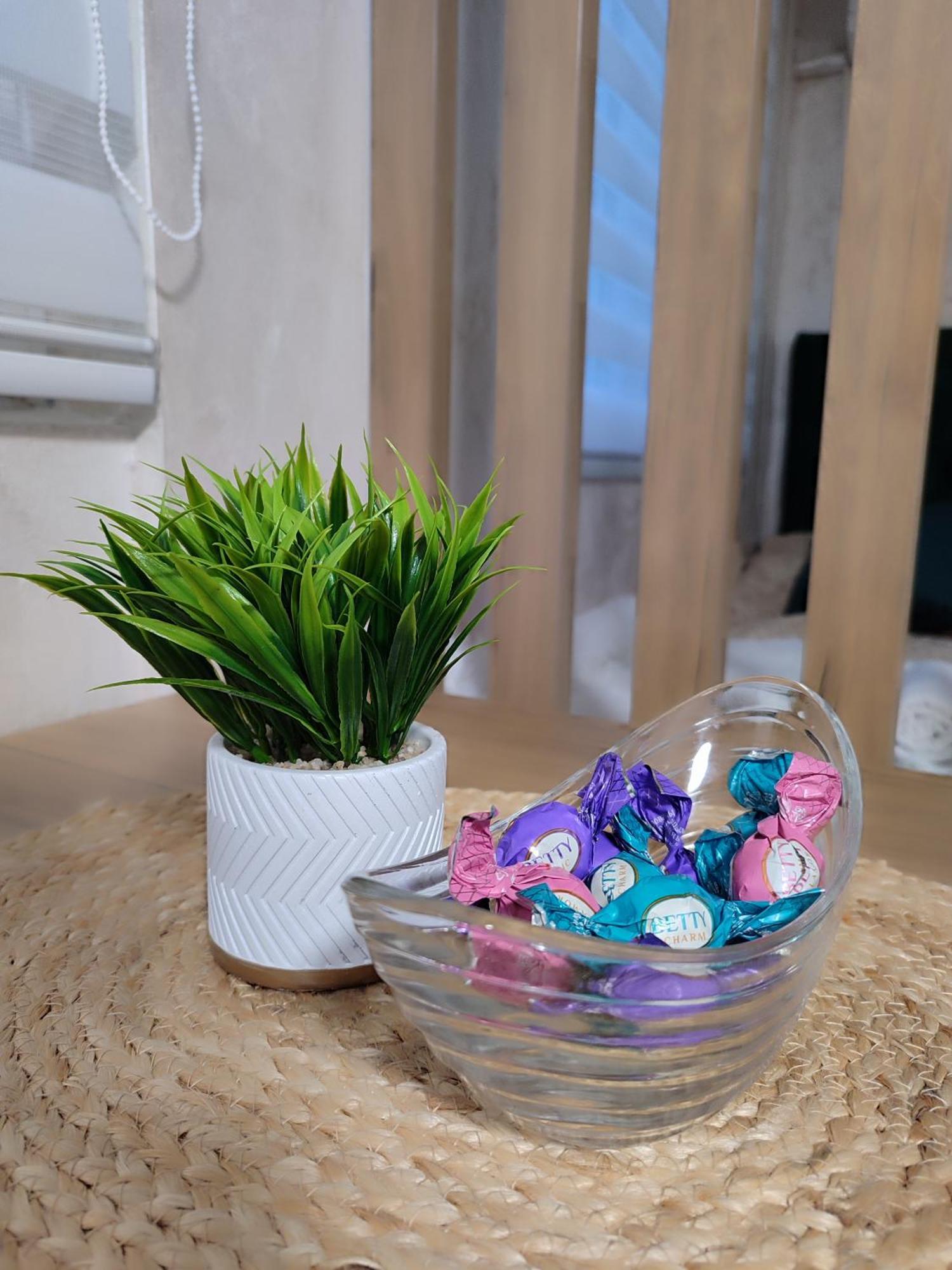 Studio Apartman Free Parking Rubikon Belgrád Szoba fotó